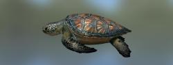 Черепаха морская зеленая