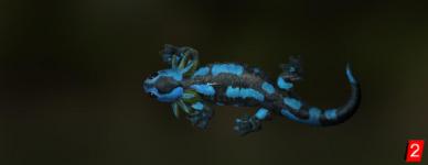 Pripyat salamander