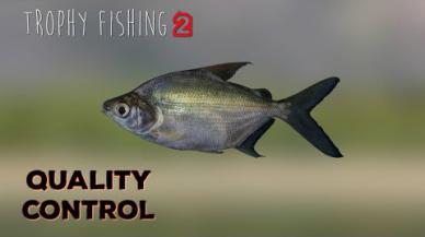 Embedded thumbnail for Trophy Fishing 2 (Olga the catfish)
